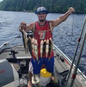 Meet your Posher, Luis